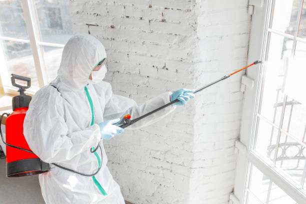 Reliable Montevallo, AL Mold Inspection Solutions