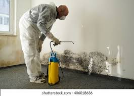 Why You Should Choose Our Mold Remediation Services in Montevallo, AL